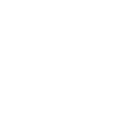 AuditingServices